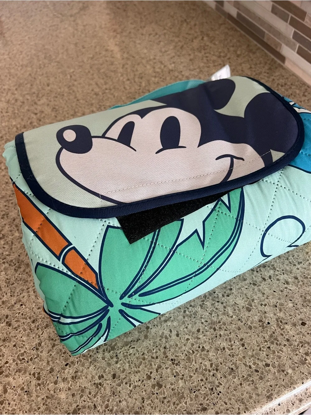 Disney  Folding Picnic Blanket - Aqua Teal Handle with Navy Trim